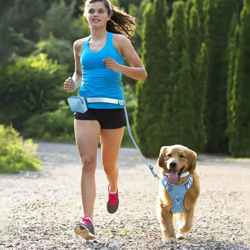 best leash for dogs that pull